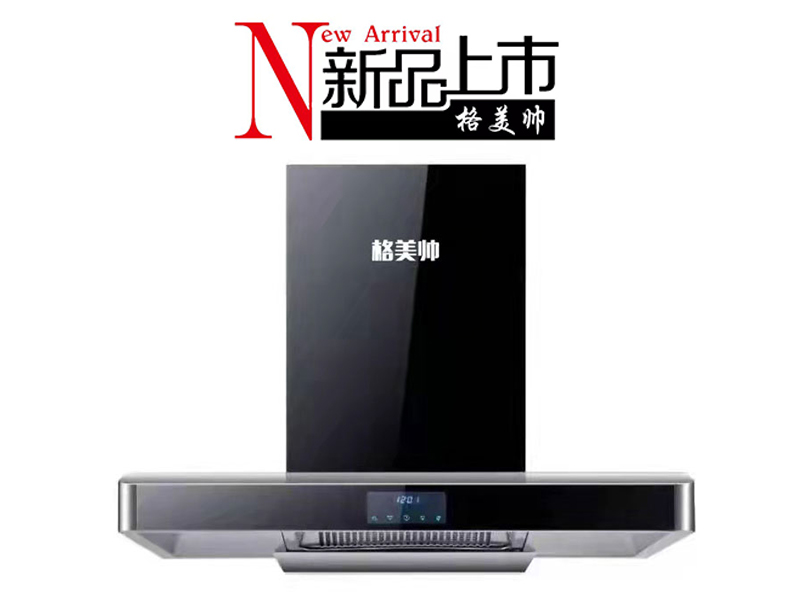 型号T66